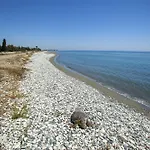 Larnaca Seaside Marina 43 *