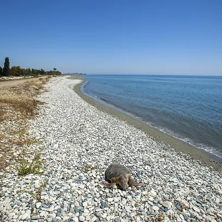 Larnaca Seaside Marina 43 *