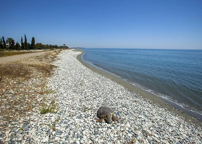 Larnaca Seaside Marina 43 *